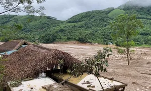 Vụ lũ quét ở Lào Cai: 22 người chết, 73 người mất tích